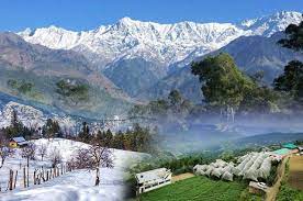 Hill Station